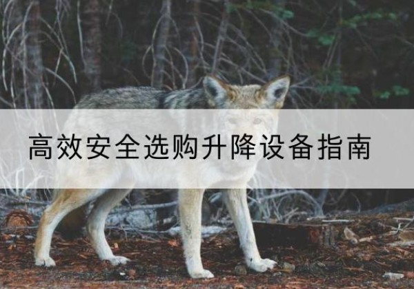 武汉升降货梯厂家推荐-*安全选购升降设备指南