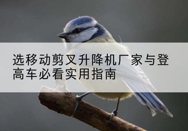 武汉电动升降机厂家-选移动剪叉升降机厂家与登高车必看实用指南